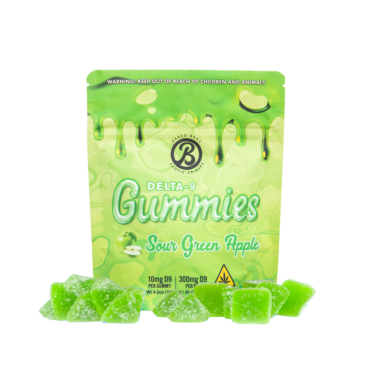 メケアリサ_ GUMMY BAG_ Monstera green レディース