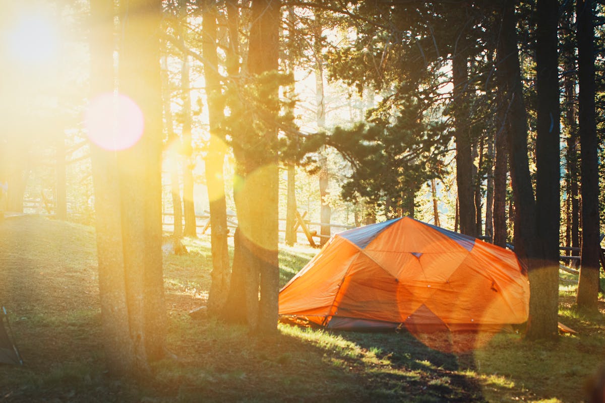 Delta 8 for camping