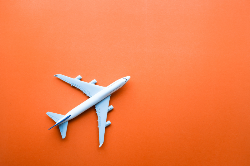 can you fly with delta 8