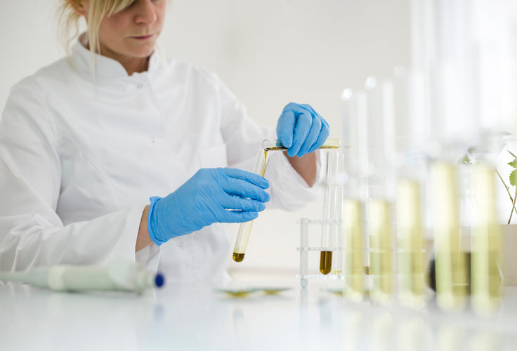 What Is The Difference Between Delta-8 And CBD?