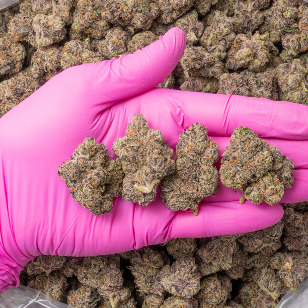Blue Z cannabis flower bud