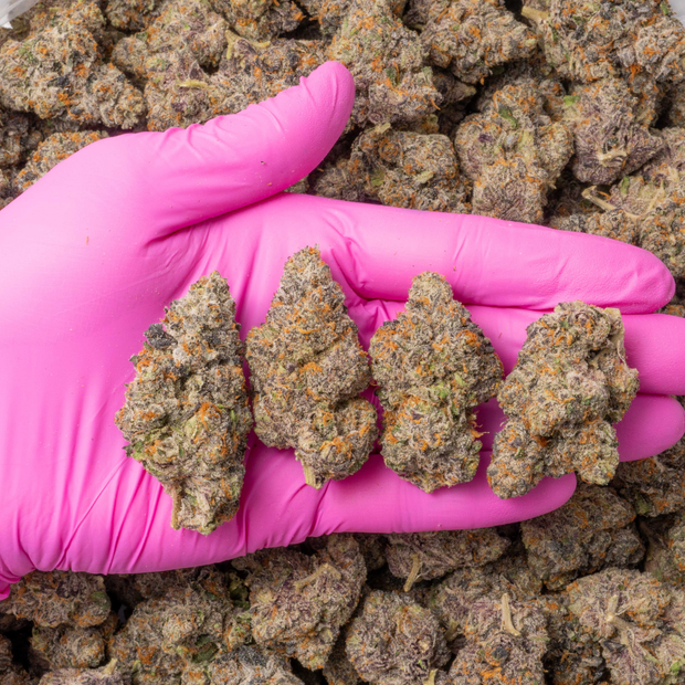 Gushers cannabis flower bud