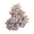South Beach Gas 5ct