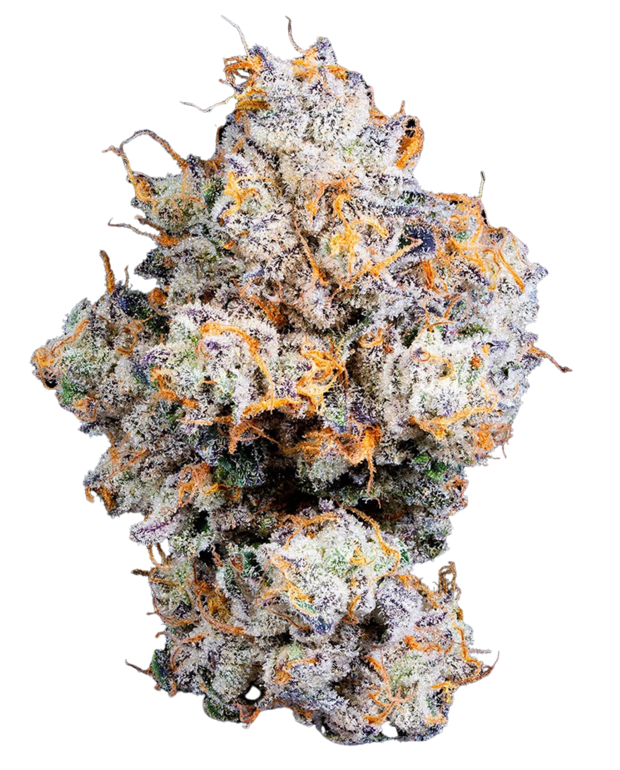 3.5g Super Lemon Haze