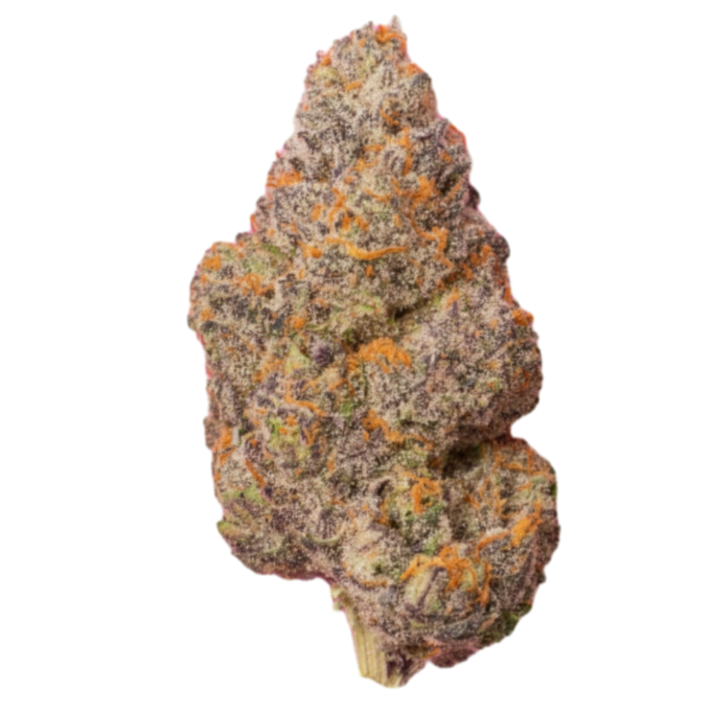Gushers cannabis flower bud