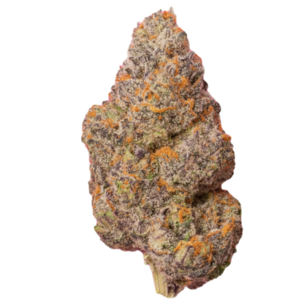 Gushers cannabis flower bud