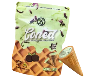 MINT CHIP